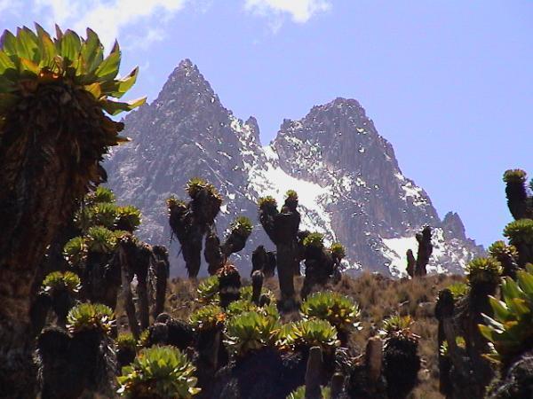 mount-elgon